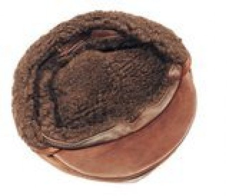 Купить кепка мужская утепленная - замша/кожа. коричневого цвета в интернет-магазине Мой-размер